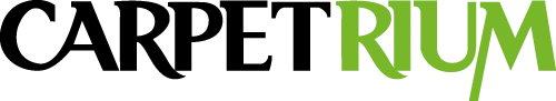 Varlık 1